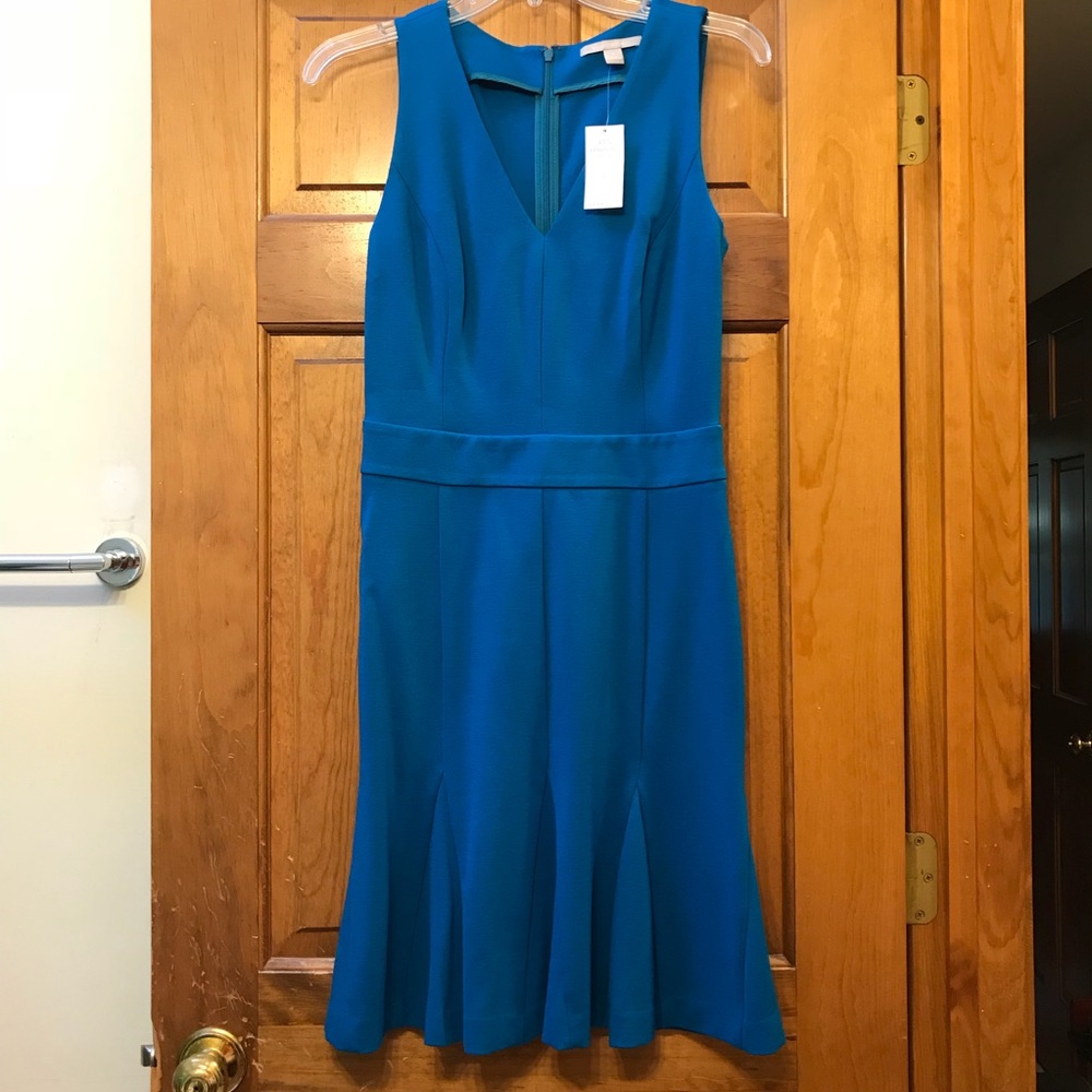 Banana Republic Sleeveless Fit and Flare Dress